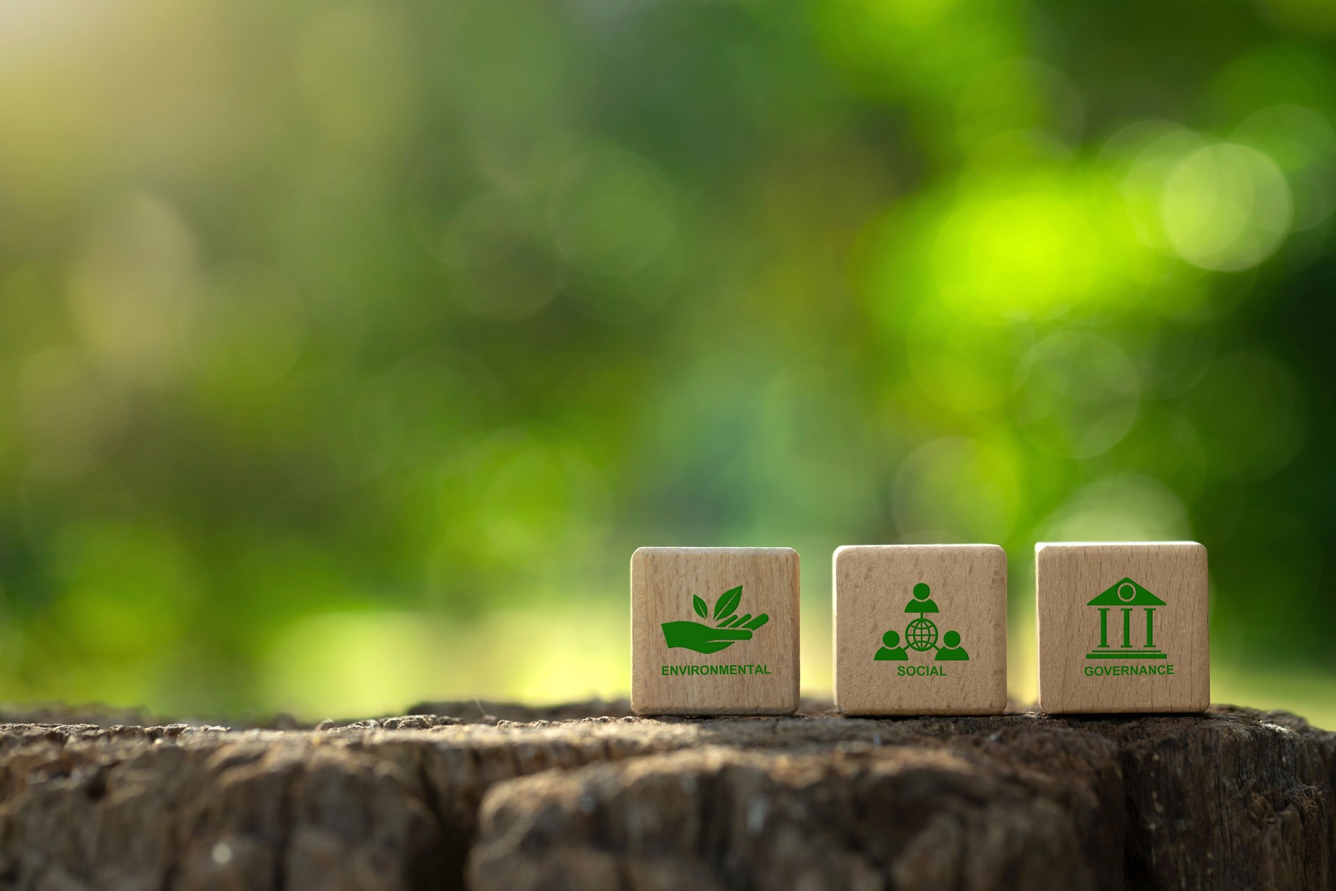 ESG environmental, social and governance. ESG on a wood block with a green background.ESG environmental social governance investment business.Green business investment strategy for sustainability.